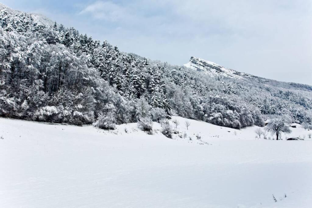 Appartement Nature Thônes Εξωτερικό φωτογραφία